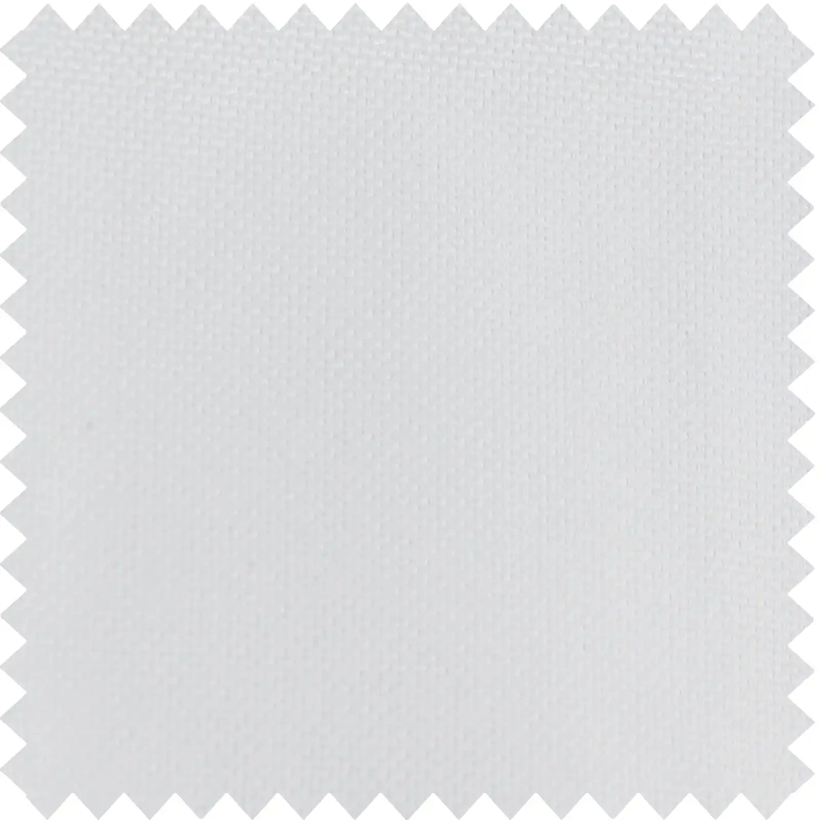 Gavin-1 White