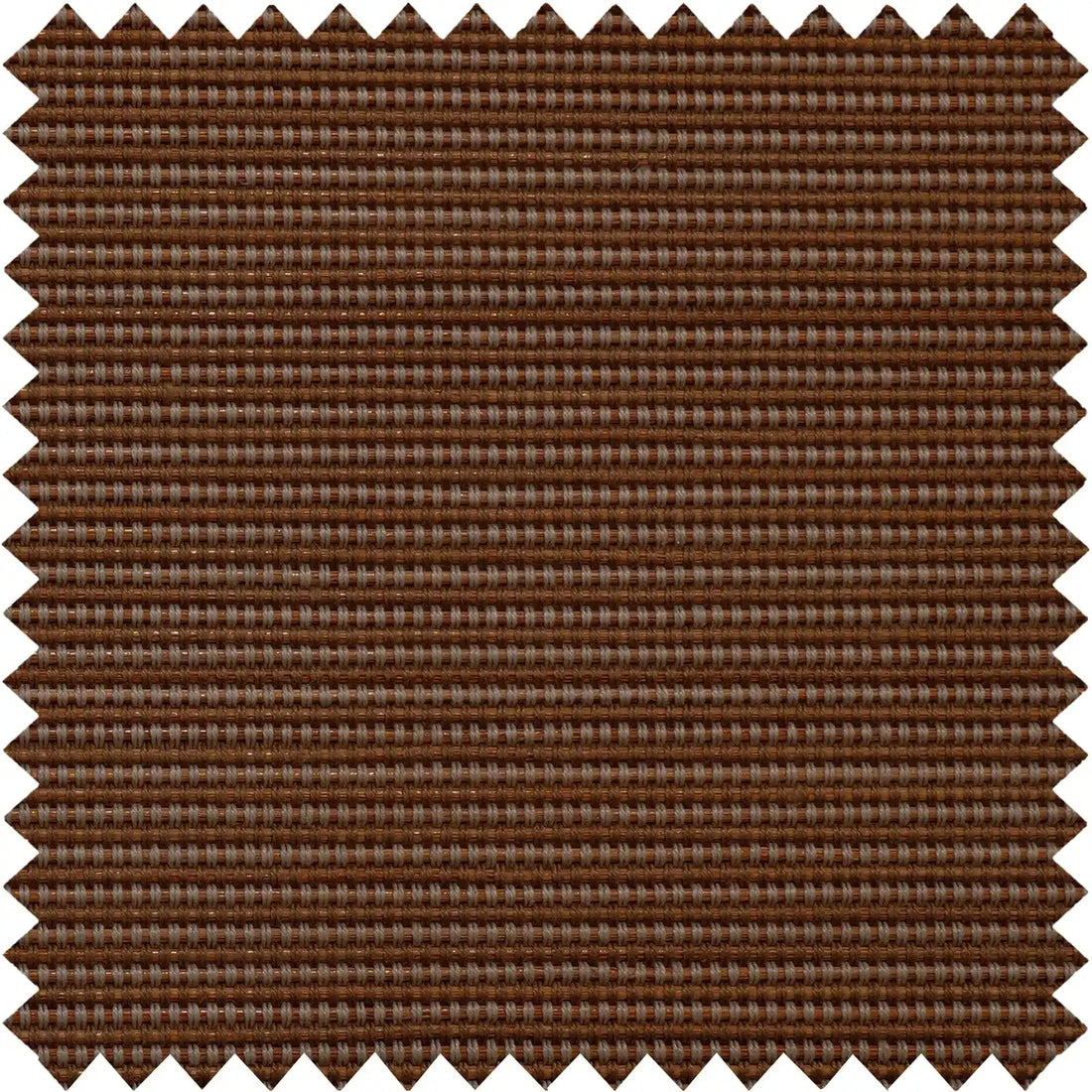 Nico-2 Brown