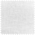 Fern-1 White