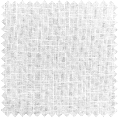 Fern-1 White