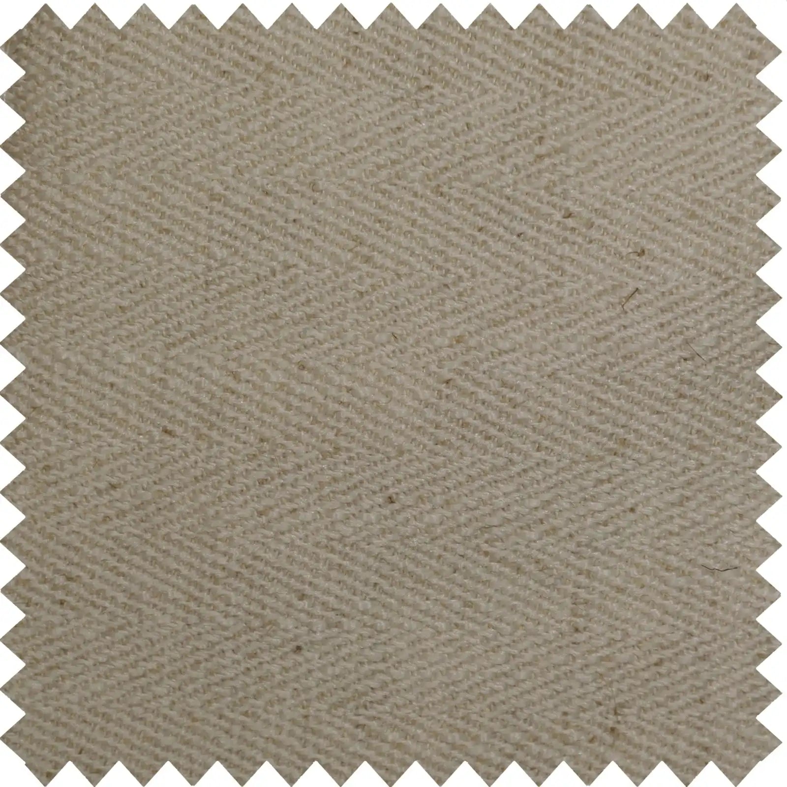 Lacey-12 Bean green