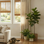Troy Custom Bamboo Shades