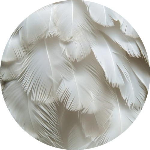 Velvet Raw Materials
